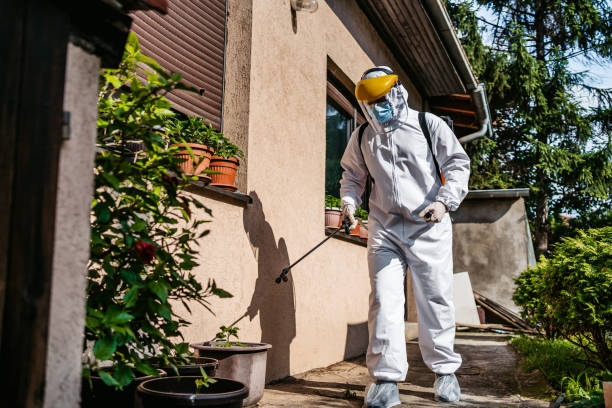 Best Emergency Pest Control  in Woodlynne, NJ