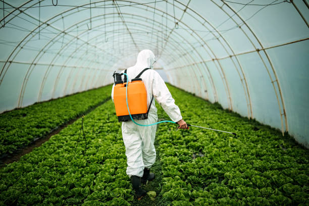 Reliable Woodlynne, NJ Pest Control Solutions