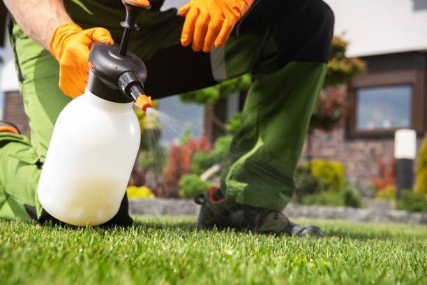 Best Wasp Removal Services  in Woodlynne, NJ