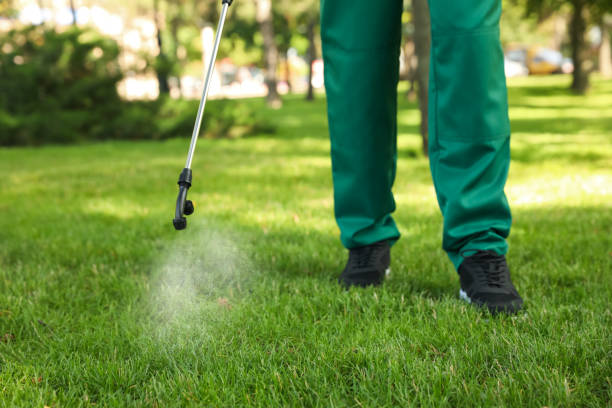 Best Residential Pest Control  in Woodlynne, NJ
