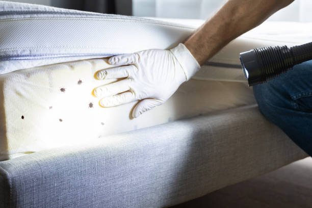 Best Emergency Pest Control  in Woodlynne, NJ