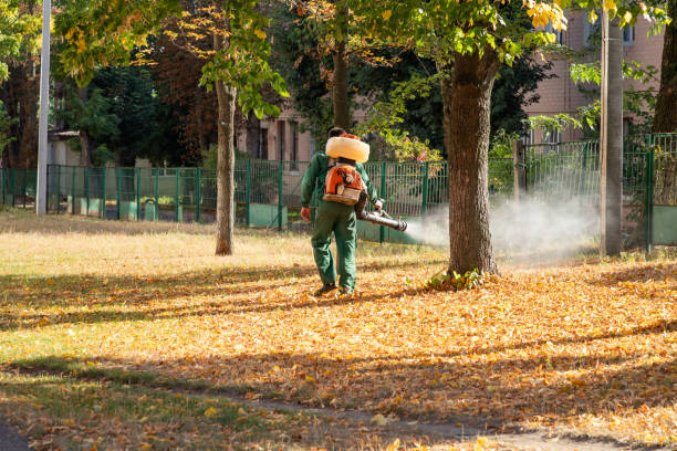 Best Pest Removal Services  in Woodlynne, NJ