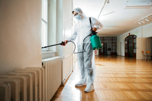 Best Termite Control Services  in Woodlynne, NJ