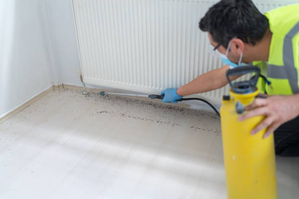 Best Insect Control  in Woodlynne, NJ