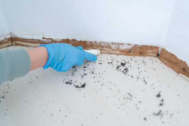 Best Wildlife Control Services  in Woodlynne, NJ